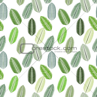 Palm Leaf. Seamless Pattern. Vector Illustration.