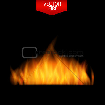 Naturalistic Fire on Dark  Background. Vector Illustration