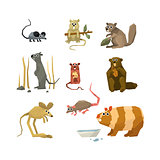 Rodents Vector Collection