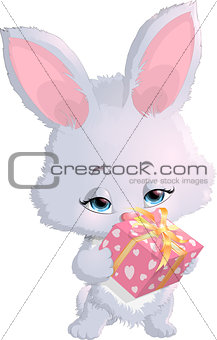 cute bunny holding a box with gifts