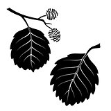 Alder Leaves, Pictogram Set