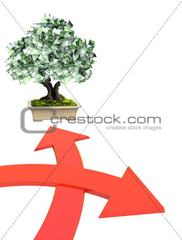 Money tree with euro banknotes