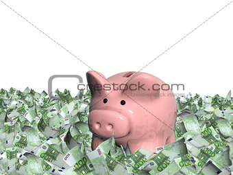 Euro banknotes and piggy bank