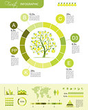 Fruits infographic for your design