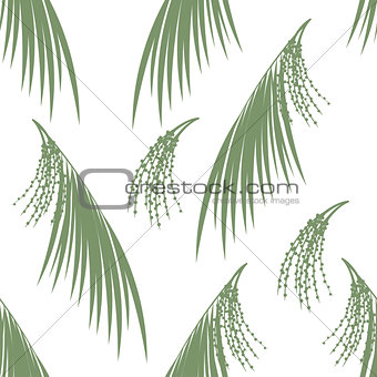 Seamless pattern berries and leaves of Acai palm . Floral background. Vector illustration.  Green silhouette