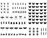 silhouettes of  insects