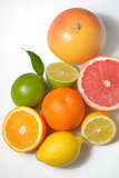 citrus fruits isolated