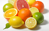 citrus fruits isolated 
