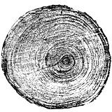 Tree rings saw cut tree trunk background. Vector illustration