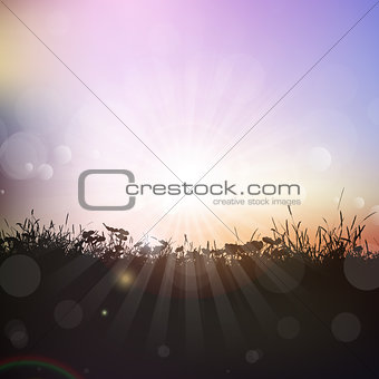 Silhouette of grass and plants against sunset sky