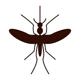 Silhouette of mosquito aedes. Zika virus.
