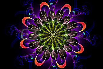 Abstract fractal fantasy pattern and shapes.