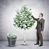 Businessman collecting money from tree