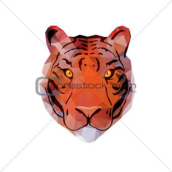 Abstract Tiger Head