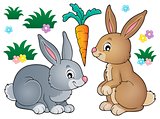 Rabbit topic image 1