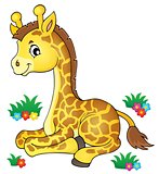 Young giraffe theme image 1