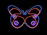 Neon butterfly isolated on black background