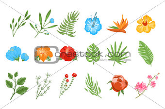 Traditional and tropical flowers