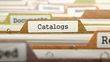 Folder in Catalog Marked as Catalogs.