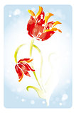 Watercolor tulips