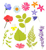 Abstract Natural Spring Elements from Flowers and Leaves. Vector
