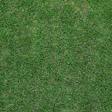 Top view on field of unideal lawn. Background grass texture