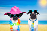 couple dog summer beach