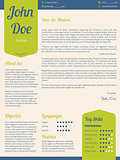 Modern cover letter resume cv with green ribbons