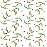 Seamless pattern branches and leaves of camu camu  berries . Floral background. Vector