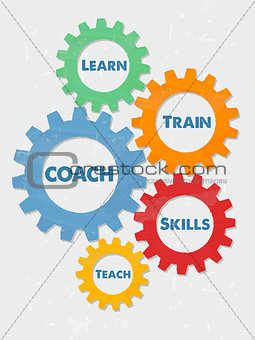 coach, learn, train, skills, teach in grunge flat design gears