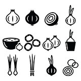 Onion, spring onions icons set