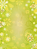 spring white and yellow flowers over vintage green background