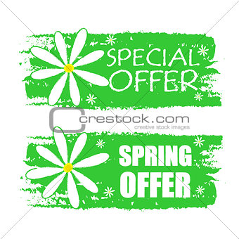 special and spring offer with flowers signs, green drawn labels