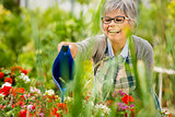 Mature woman watering flowers