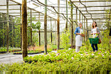 Worker and customer in a green house