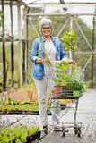 Shopping in a greenhouse