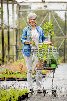 Shopping in a greenhouse