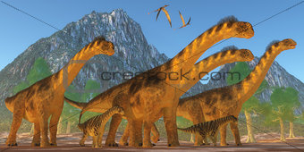 Camarasaurus Dinosaurs
