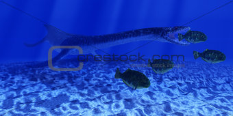 Jurassic Plesiosaurus Ocean