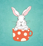 White rabbit in a red cup