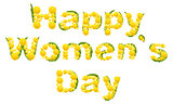 Happy womens day. Yellow mimosa flower. Acacia flower symbol of Womens Day. Lettering text for greeting card