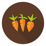 Carrots Vegetables Circle Icon with long Shadow