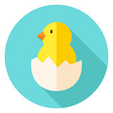 Hatched Chick in Eggshell Circle Icon