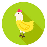 Hen Circle Icon with long Shadow