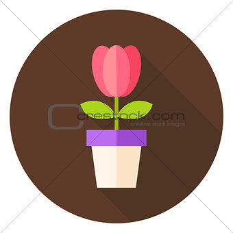 Spring Tulip Flower in the Pot Circle Icon