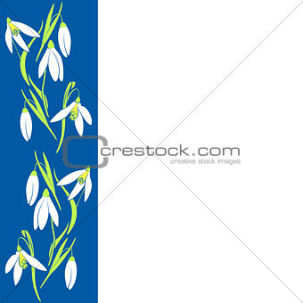 snowdrop flowers, spring vertical card. Vector illustration