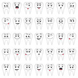 Teeth set for your design.