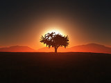 3D tree against a sunset sky