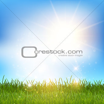 Blue sky and grass landscape 