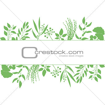 Green rectangle frame with collection of plants. Silhouette of branches isolated on white background